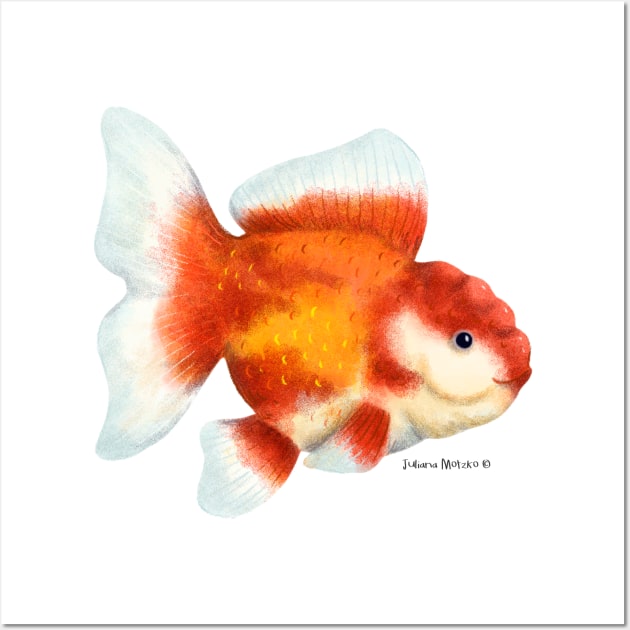 Oranda Goldifsh Wall Art by julianamotzko